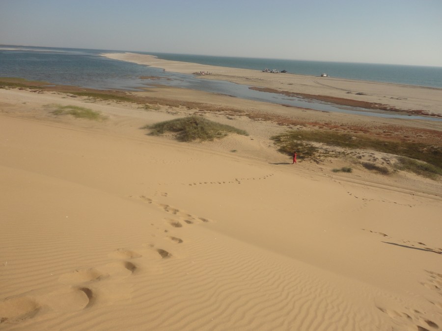 Skeleton Coast | Photograph by Anupama Subramaniyam