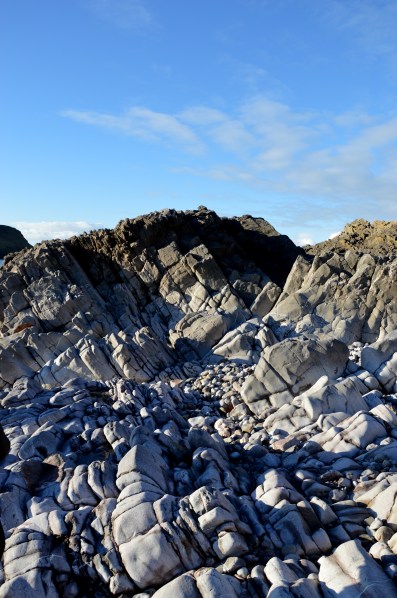 Our Walking Surface to Worm's Head | Photograph by Anupama Subramaniyam