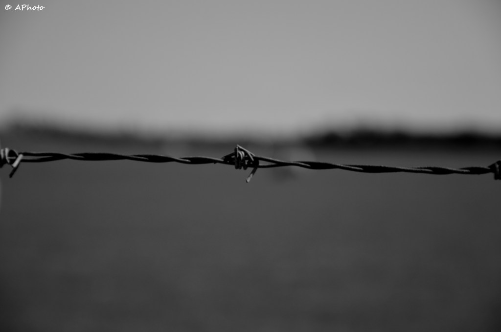 Break them Barriers! 