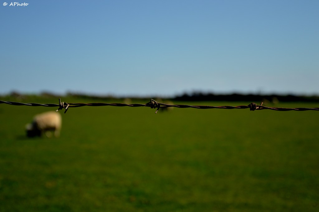 Freedom is a state of mind