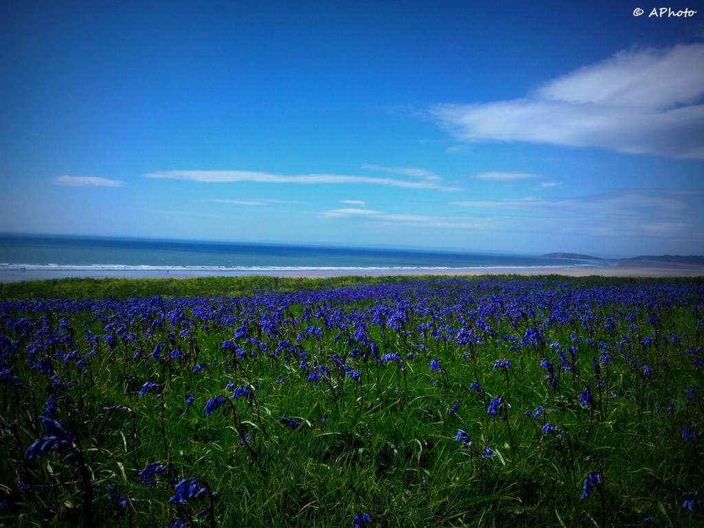 Rhossili Bay